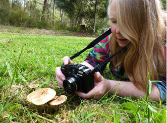 Picture of photographing fungi on an identification foray